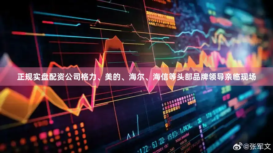 正规实盘配资公司格力、美的、海尔、海信等头部品牌领导亲临现场