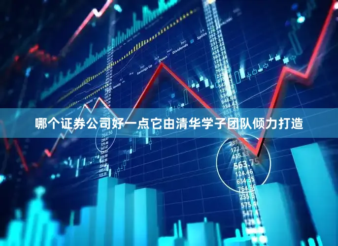 哪个证券公司好一点它由清华学子团队倾力打造